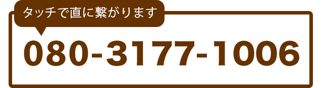 080-3177-1006